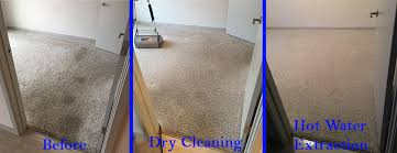 Take care not to rub too vigorously — you don't want to damage the carpet — just ensure that the spray is coating the strands on all sides, from top to bottom. Dry Carpet Cleaning Vs Hot Water Extraction Which Is Best