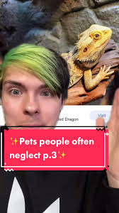 Pet Care: Addressing Neglected Pets