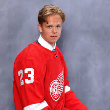 Detroit Red Wings' Noah Dower Nilsson carries mother's memory