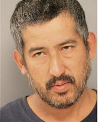 ᐅ Illinois Criminal Records 2009-2025