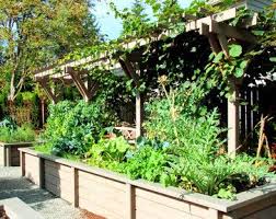 Edible Garden Potager Traditional Landscape Seattle Anr Landscape Design Llc Patio Garden Design Easy Landscaping Traditional Landscape