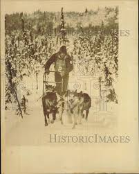 1984 Press Photo Musher Clyde Mayo with his sled dogs in a race, Alaska