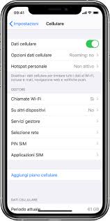 Il loro debutto risale proprio all'immissione sul mercato del samsung galaxy s3. Come Controllare L Uso Dei Dati Cellulare Su Iphone E Ipad Supporto Apple