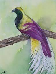 Paradisebirds paradisebirds katrin custom paradisebirds pictures free. Paradiesvogel Malerei Von Katrin Schroder Artmajeur