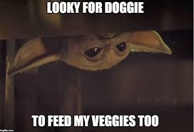 Baby Yoda Yoda Funny Yoda Meme Star Wars Yoda