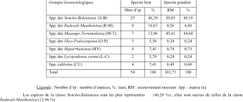 Image result for Virectaria major