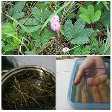 Bagaimana cara mengetahui nomor pokok sekolah nasional (npsn) dengan mudah dan cepat ? Food Lifestyle Education Parenting Diy Cararesepi