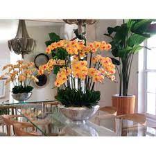 10.5'' h x 9.5'' w x 7.5'' d; Wayfair Orange Faux Flowers You Ll Love In 2021