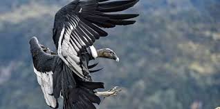 Government mulls quarantine hotel options for seasonal workers. Perth Basin Latest Oil And Gas News Upstream Online