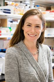 Ecology and Evolutionary Biology Faculty