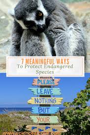 7 Meaningful Ways To Protect Endangered Species Endangered Species Project Endangered Animals Project Endangered Species Activities
