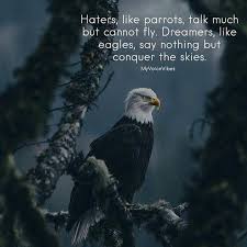Birds That Cannot Fly In India Haters Like Parrots Talk Much But Cannot Fly Dreamers Like Eagles Say Nothing But Conquer The Skies Bald Eagle Eagles Animals Beautiful