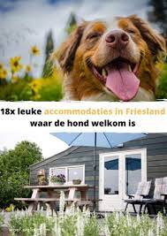 pin op woef welkom accommodatie tips in nl