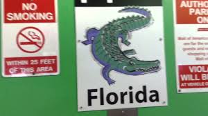 Get contact details & maps for review your listing review information on this page and make sure it is accurate. Otis Traction Scenic Elevators At The Mall Of America East Parking Garage In Bloomington Mn Youtube