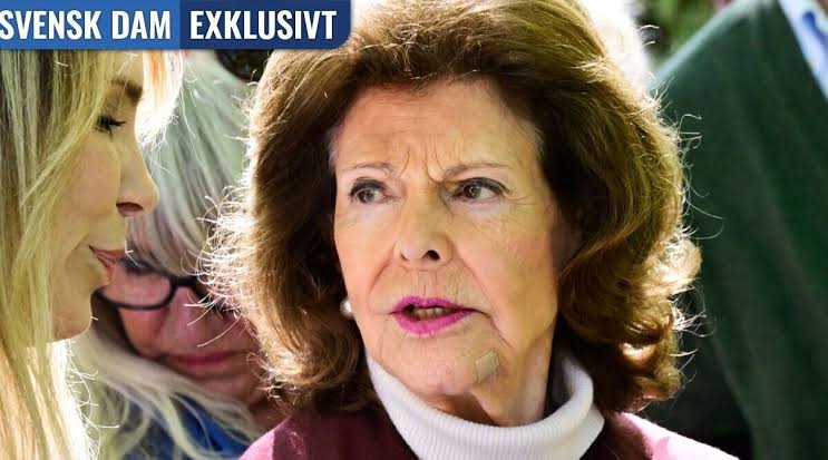 Bekräftat: Drottning Silvia väljer att tala ut i SVT | Svensk Damtidning