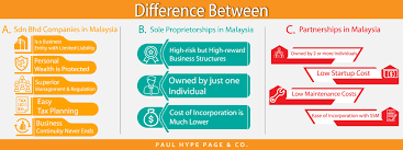 This types of business in malaysia has typical partnership company attire but also has some advantageous features of an llc. Malaysia Business Structure Details Malaysia Business