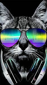 22 Free Cool Phone Wallpapers In 2021 Cool Wallpapers For Phones Cat Background Cool Backgrounds