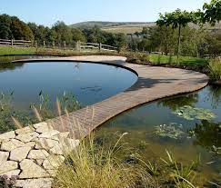 4587434120 Jpg 902 768 Landscape Design Pool Landscape Design Natural Swimming Ponds