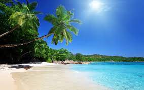 Tripadvisor has 181,466 reviews of venezuela hotels, attractions, and restaurants making it your best venezuela resource. This Is Tucacas Venezuela Steemit