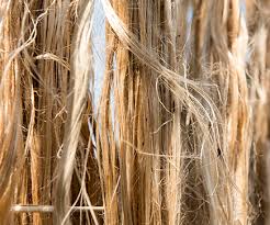 Jute Trading In India Futures Commodity Exchange Jute fibers are detrimental to the abrasive wear resistance of pp which exhibits a far greater energy to fracture and can thus accommodate plastic strain generated under the abrasive conditions to a. jute trading in india futures