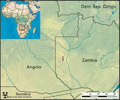 Image result for Polygala dewevrei