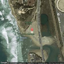 Extra treats like rawhide bones and catnip; Pet Friendly Hotels Near Dog Beach In Ocean Beach California