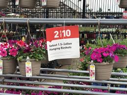 Annual seeds are easy to germinate, come into bloom quickly, and flowers appear over a long season. Two Hanging Baskets Only 10 At Lowe S Just 5 Each More Hip2save