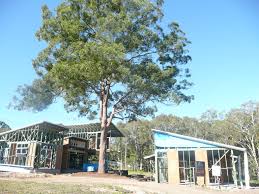 Check spelling or type a new query. Why Tree Pruning Matters Jim S Trees