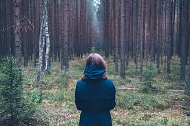 Check spelling or type a new query. Royalty Free Girl In The Forest Photos Free Download Pxfuel