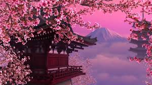 Japan cherry blossom wallpapers hd desktop and mobile backgrounds. Japanese Cherry Blossom Hd 1920x1080 Wallpaper Teahub Io