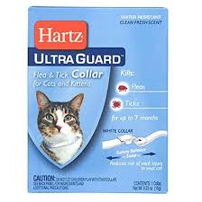 Hartz Ultra Guard Flea And Tick Collar For Cats And Kittens Fresh Scent Cat Fleas Kitten Collars Flea And Tick