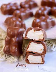 Oursons Guimauve Recette Maison Facile Recette Bonbon Chocolat Recette Bonbon Recette Chocolat Maison