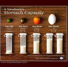 How Much Should A Newborn Baby Eat A Day Newborn Baby