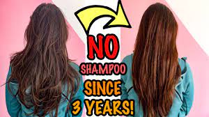If you wash your hair without shampoo using just water and a brush, you'll be surprised by how low maintenance your hair becomes. How I Wash My Hair Without Any Shampoo Since 3 Years No Poo Hair Care Routine In 2 Steps Heli Ved Youtube