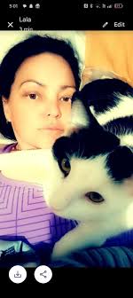 Missing cat Bishopdown. Shared from Nextdoor.