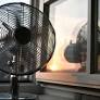 Prolonged August Heatwave Forecasted in Germany Amid Rising Concerns Over Preparedness