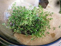 Add 1/4 cup broth, bring to a simmer, and cook. How To Harvest Thyme Harvesting Herbs Thyme Plant Drying Thyme