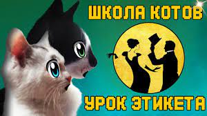 smishni pranki nad kotami 2 smishni kit malyuk 4 smishnih pranka nad druzyami koshenyatami youtube koshechka kot manery