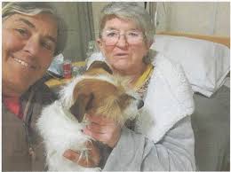 RYLSTONE KANDOS & DISTRICT DOG CLUB