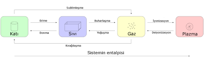 Wikizero Maddenin Halleri
