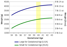 File Birth Weight Chart 2 Svg Wikipedia