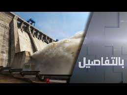 وصرح السفير أحمد حافظ، المتحدث الرسمي. So9daeughox1bm