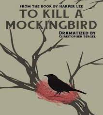 To Kill a Mockingbird: A Full-Length Play: Christopher Sergel, Harper Lee:  9780871299208: Amazon.com: Books