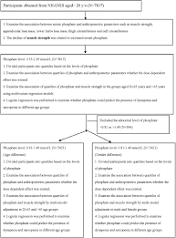 exploring the link between serum phosphate levels and low