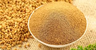 Image result for Trigonella