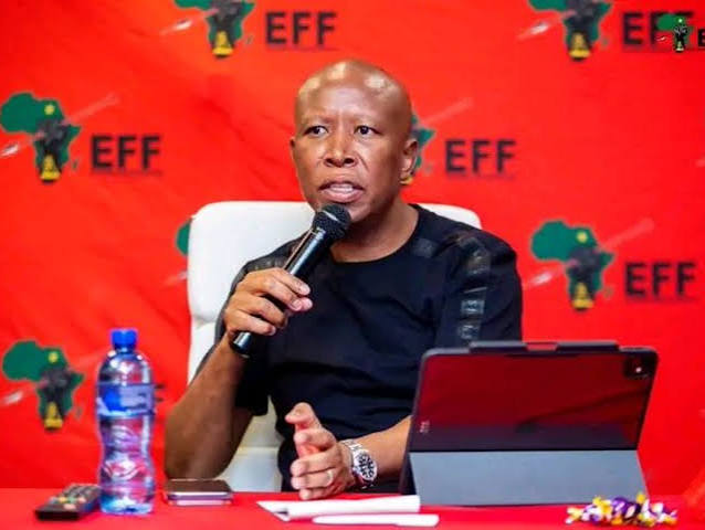 Madlanga Commission Live Today: Julius Malema Denies Links To Feroz Khan Amid Fresh Allegations