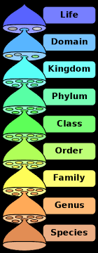 An Introduction To Taxonomy The Kingdoms And Domains Of Life Science Biology Microbiology Study Biology