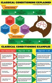 Classical Conditioning A Basic Form Of Learning Teaching Psychology Ap Psychology Educational Psychology