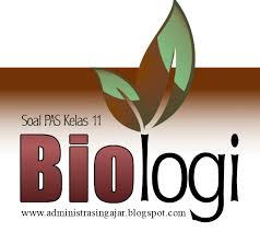 Pelajaran ini biasanya lebih diminati lantaran berhubungan dengan percobaan dan pengetahuan tentang makhluk hidup. Soal Pas Biologi Sma Kelas 11 Semester 1 Lengkap Beserta Kunci Jawabannya Lulusujiansemua Blogspot Com Kumpulan Soal Smp Ulangan Latihan Try Out