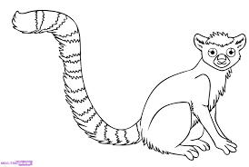 Изображение tropical rainforest animals drawing. Worksheets Rainforest Animals Of The Color Printable Worksheets And Activities For Teachers Parents Tutors And Homeschool Families